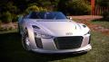 Audi e-tron Spyder na drogach Malibu